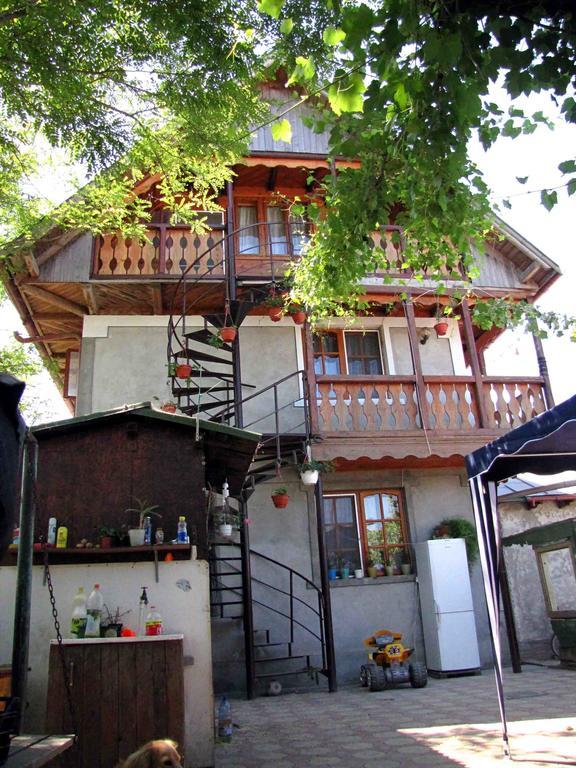 Casa Oana Hotel Сулина Екстериор снимка