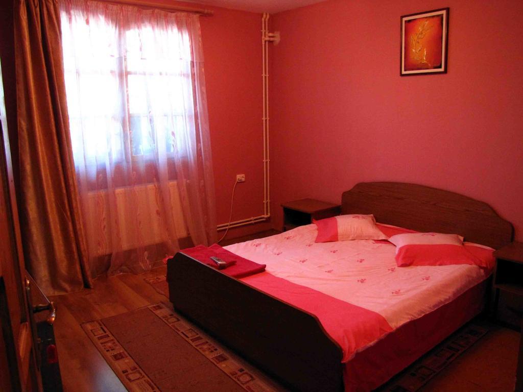 Casa Oana Hotel Сулина Стая снимка